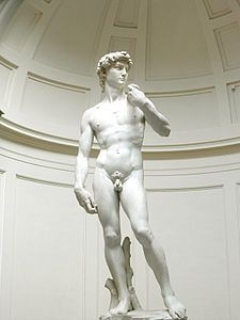 Микеланджело. Давид. 1501-1504. Флоренция. Галерея изящных искусств